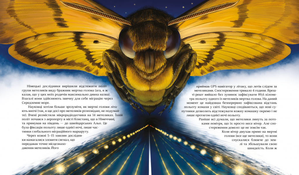 ���� ������� �� ����_205�240_new_104-105.jpg